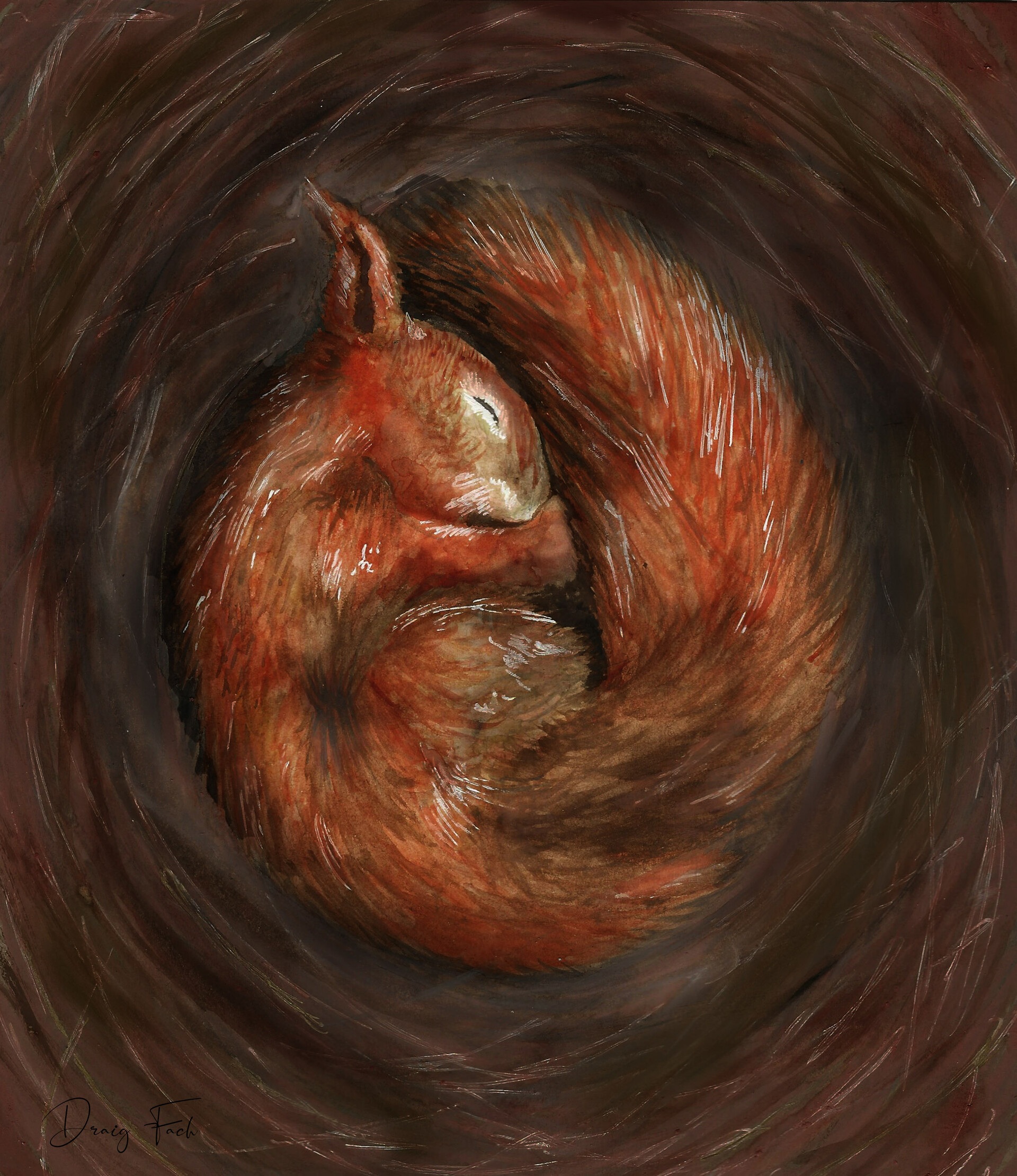 Zoe williams red squirrel